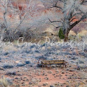 24x36 8x12 Print Only Wagon