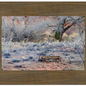 Espresso Frame with Print 12x18 Wagon